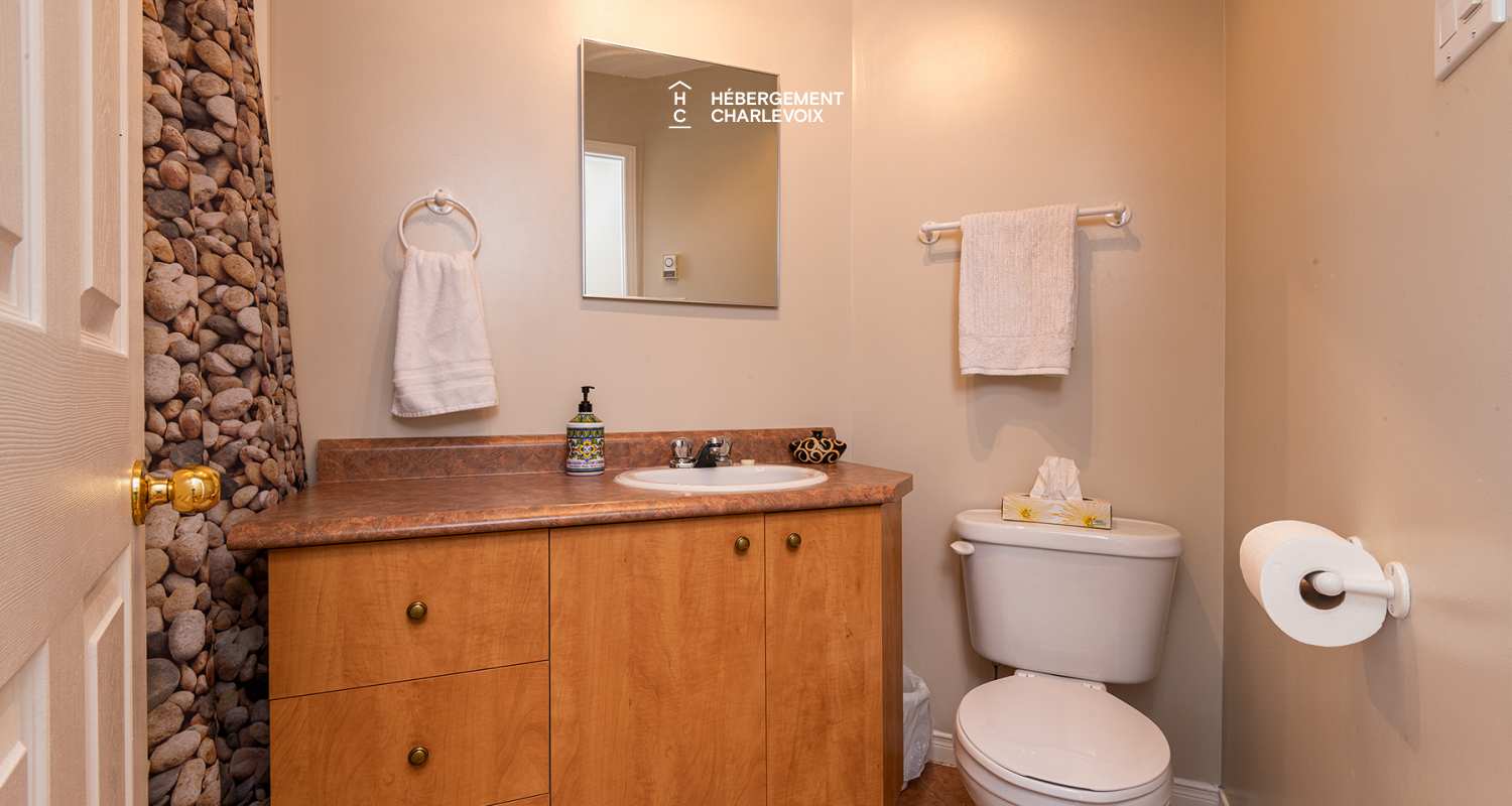 VER-1 ( haut) - Moments for relaxation in front of the stone fireplace